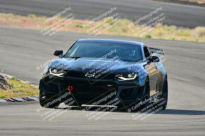 media/Mar-22-2025-West Coast Racing (Sat) [[0d49b412c8]]/Blue Group/Session 1 (Turn 4-Exterior)/
